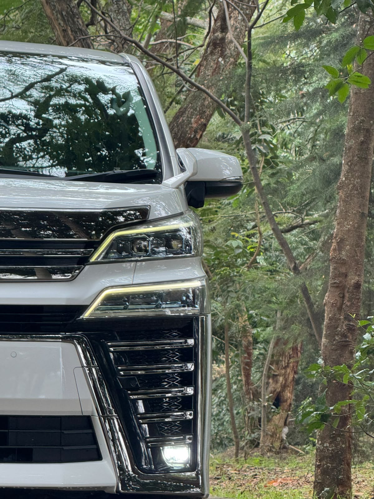2019 Toyota 𝐕𝐄𝐋𝐋𝐅𝐈𝐑𝐄 photo 2
