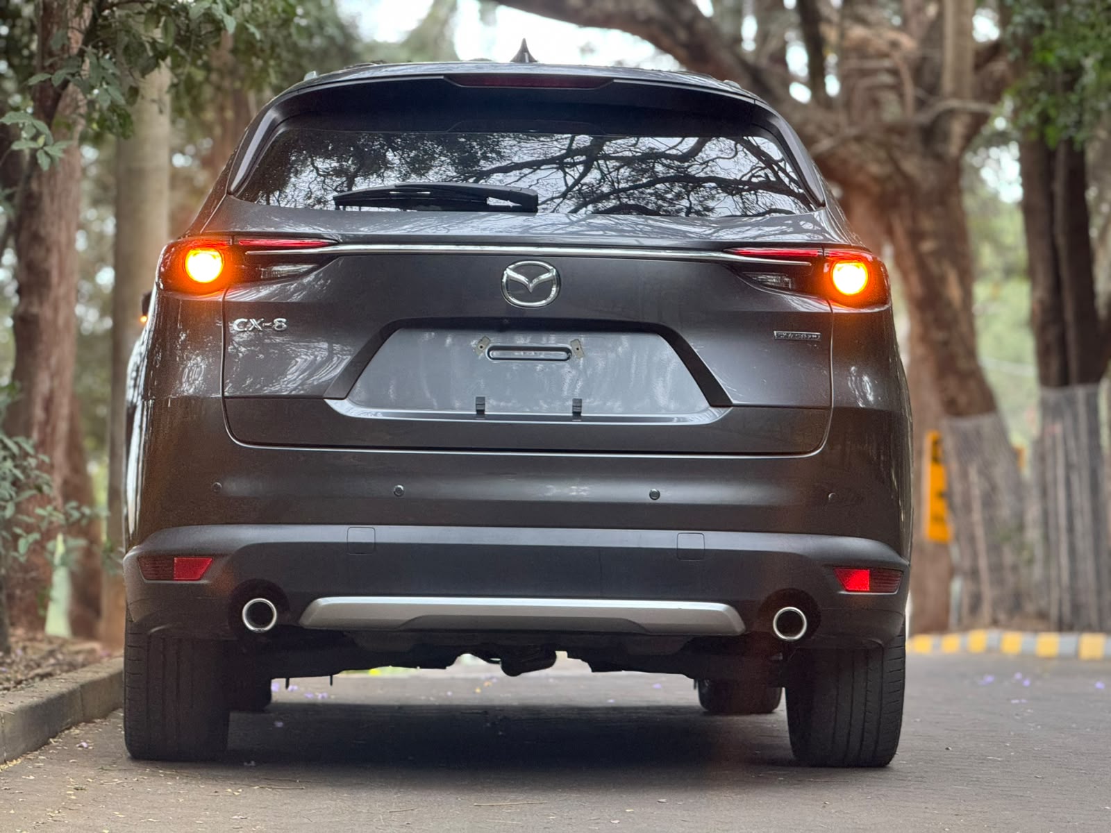 2020 Mazda 𝐌𝐀𝐙𝐃𝐀 𝐂𝐗-𝟖 photo 3