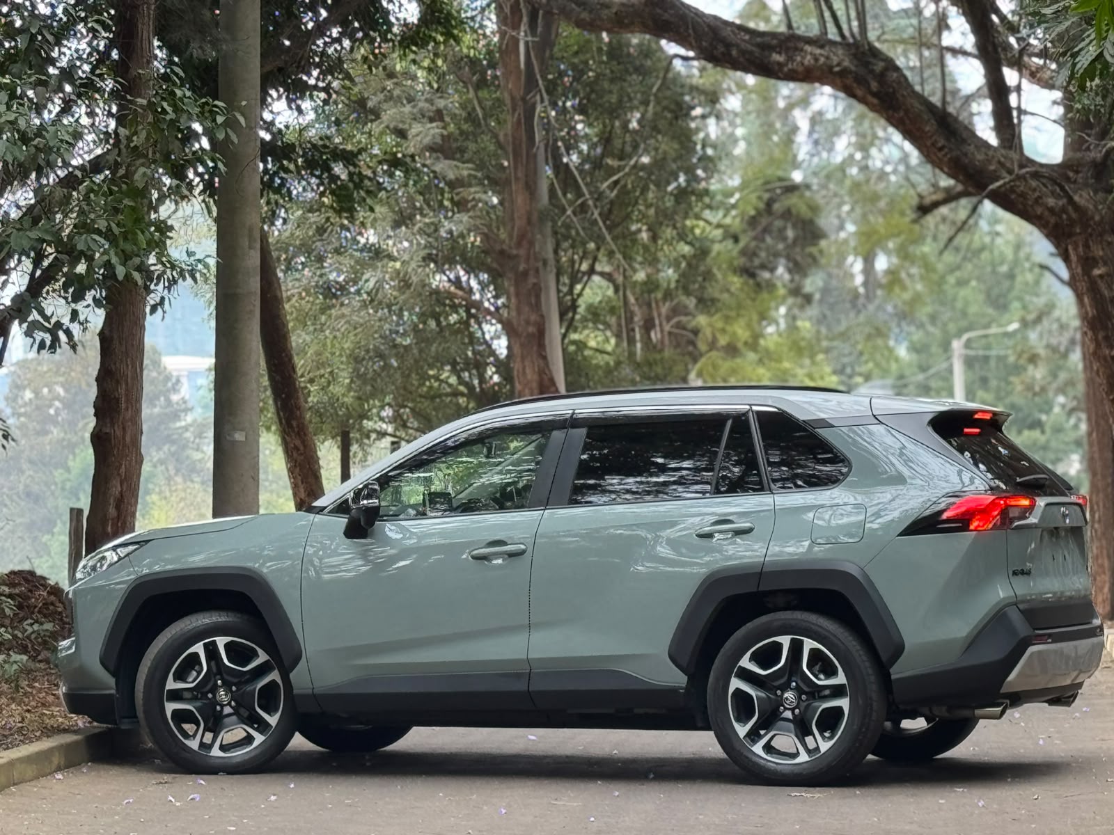 2021 Toyota RAV4 ADVENTURE photo 9