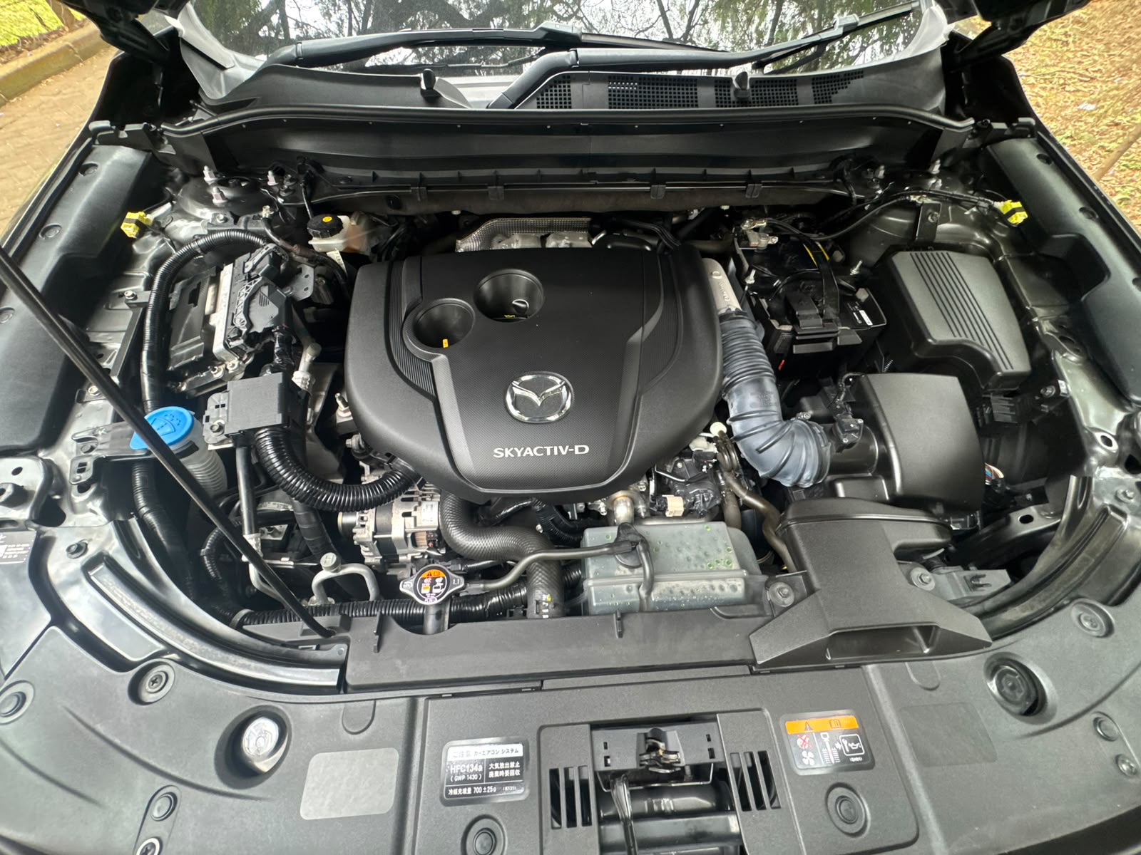 2020 Mazda 𝐌𝐀𝐙𝐃𝐀 𝐂𝐗-𝟖 photo 14