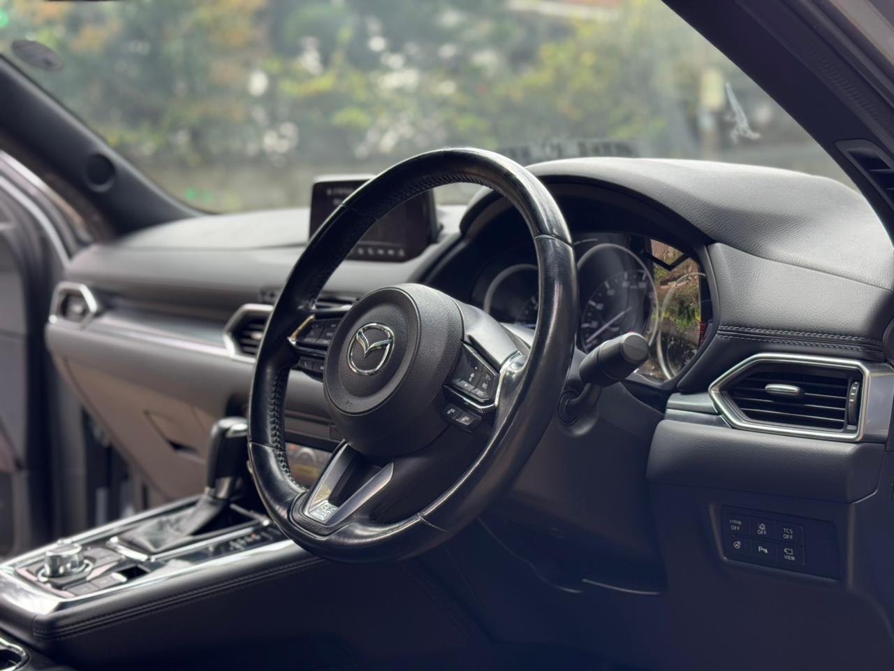 2017 Mazda CX-8 KG2P photo 6