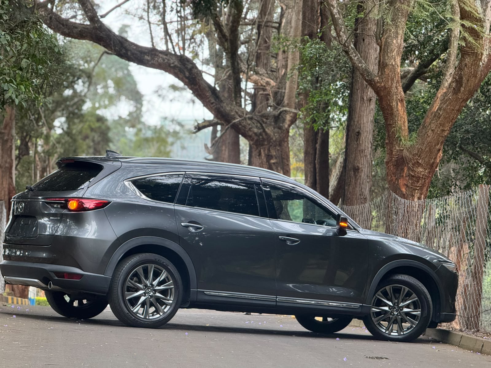 2020 Mazda 𝐌𝐀𝐙𝐃𝐀 𝐂𝐗-𝟖 photo 9