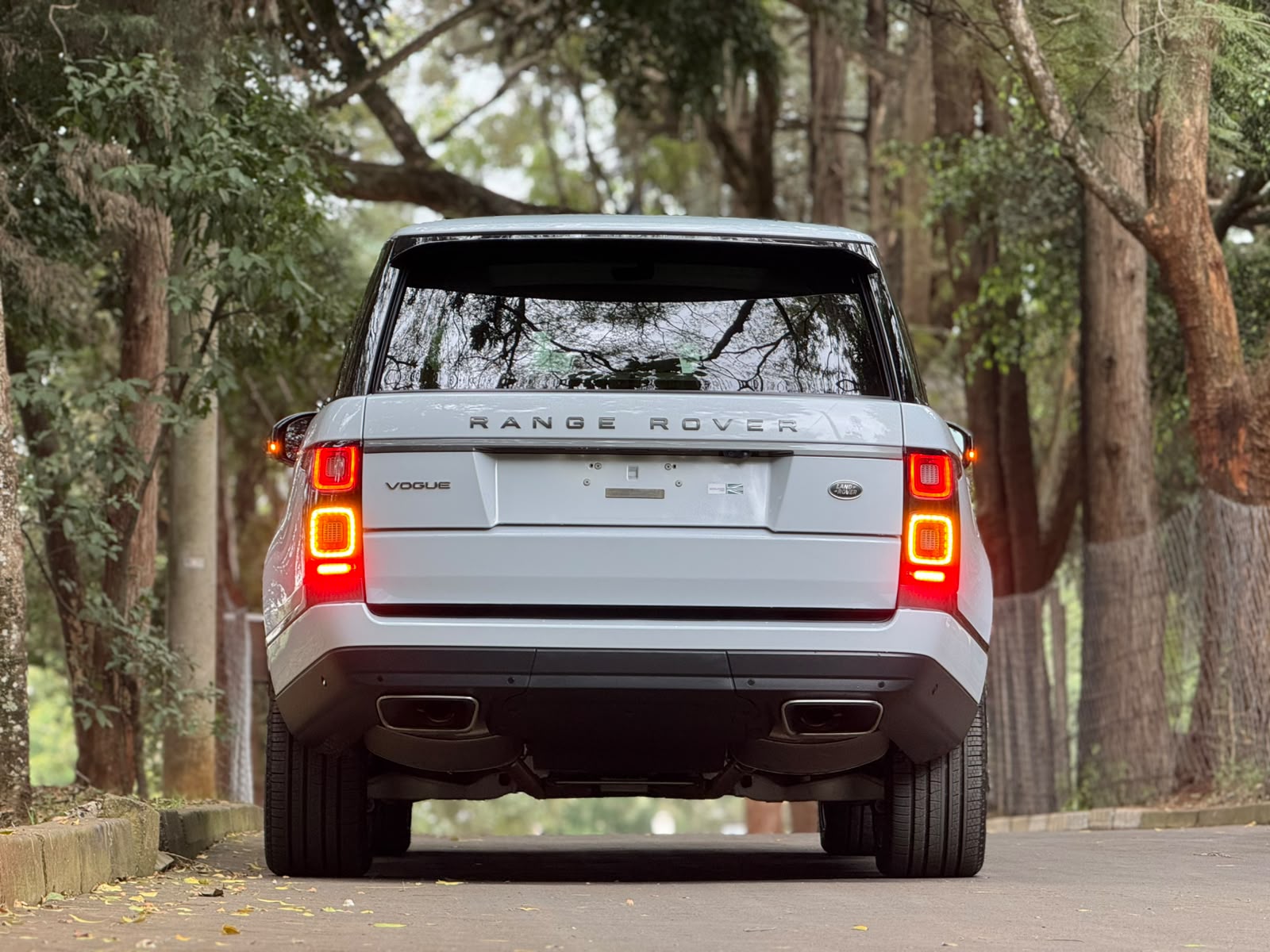 2019 Rand Rover 𝐑𝐀𝐍𝐆𝐄 𝐑𝐎𝐕𝐄𝐑 𝐕𝐎𝐆𝐔𝐄 photo 3
