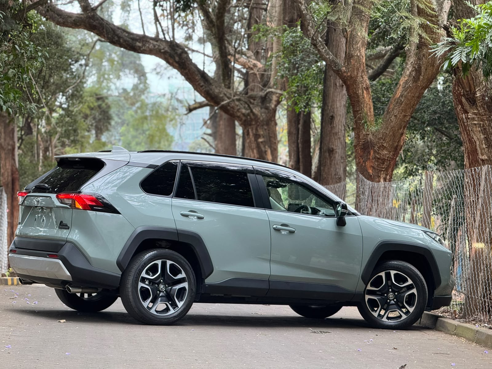 2021 Toyota RAV4 ADVENTURE photo 10