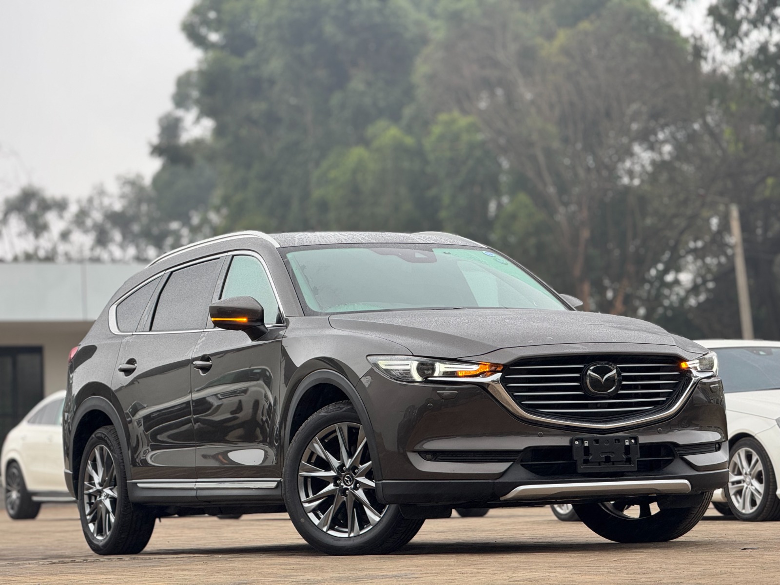 2026 Mazda 𝐂𝐗-𝟖 𝐀𝐖𝐃 photo 2
