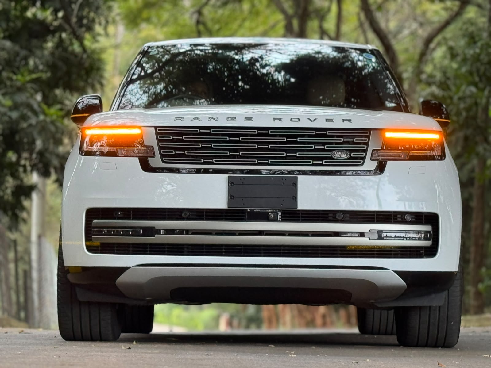 2023 Land Rover 𝐑𝐀𝐍𝐆𝐄 𝐑𝐎𝐕𝐄𝐑 𝐕𝐎𝐆𝐔𝐄 𝐃𝟑𝟎𝟎 photo 2